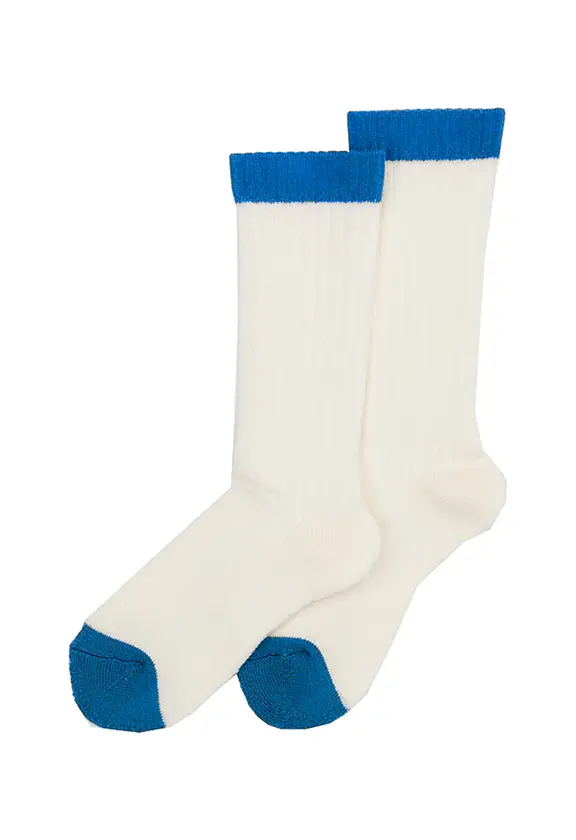 平置き（俯瞰）